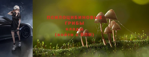 шишки Алексеевка