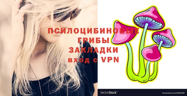 шишки Алексеевка
