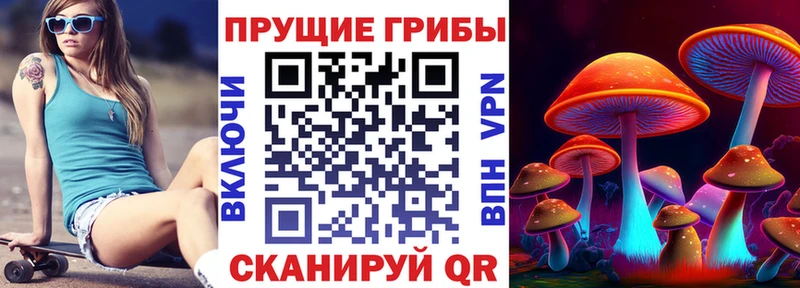 Псилоцибиновые грибы Psilocybe  Бахчисарай 